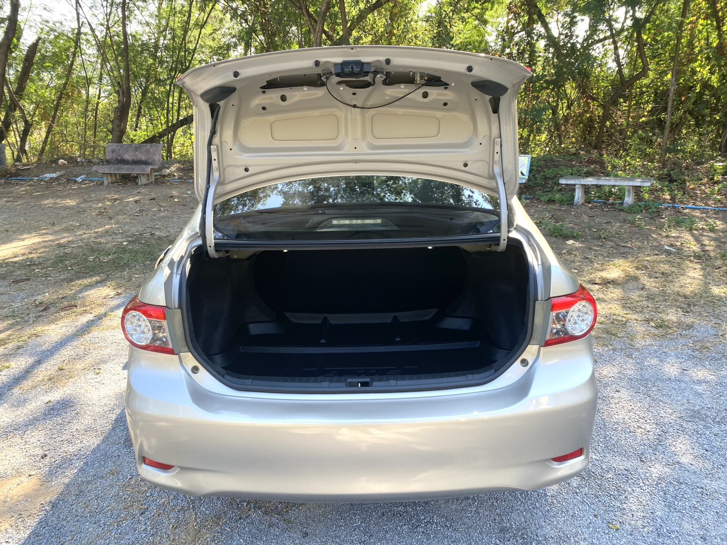 S__3874841_0