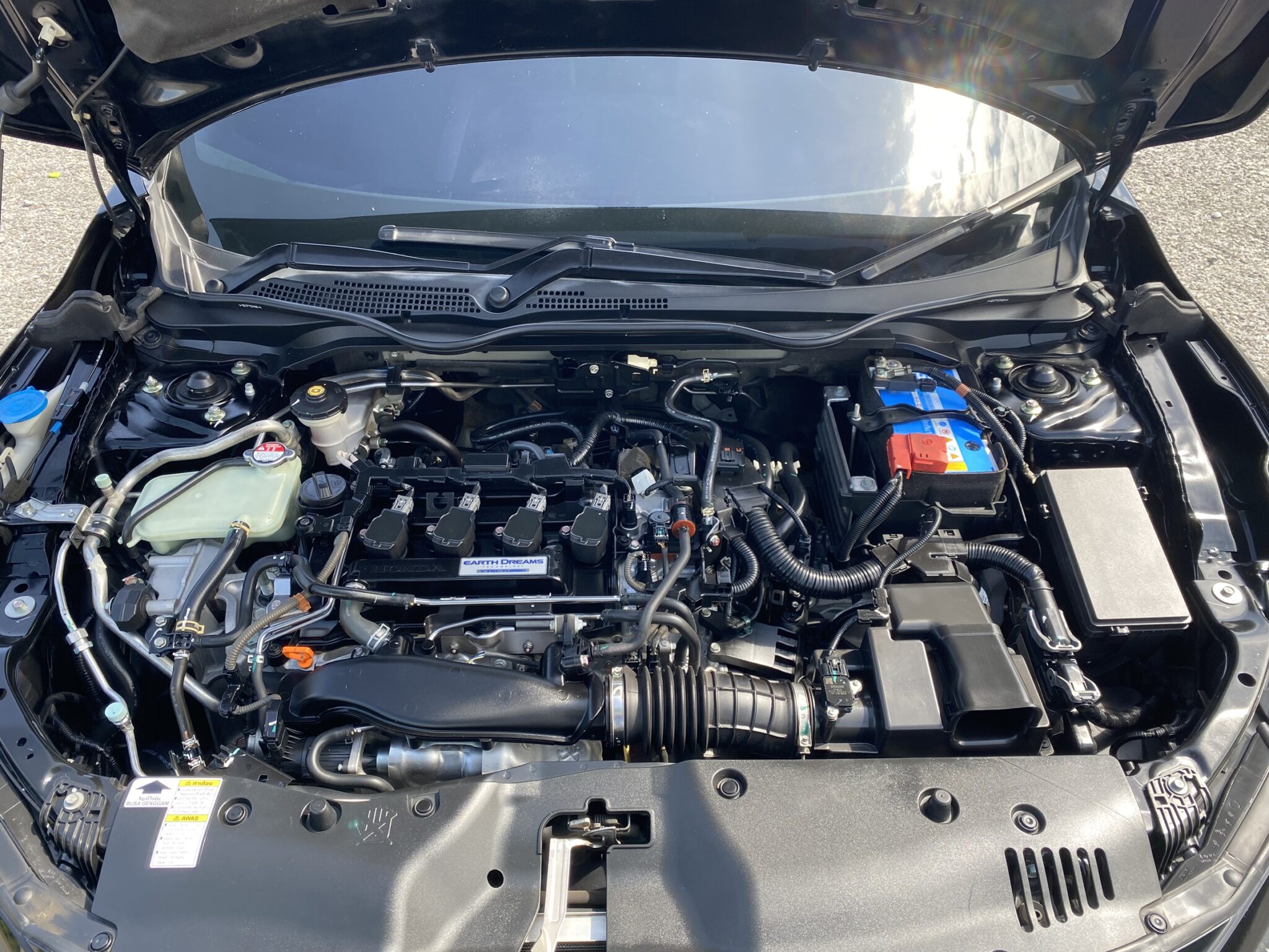 S__7610438_0